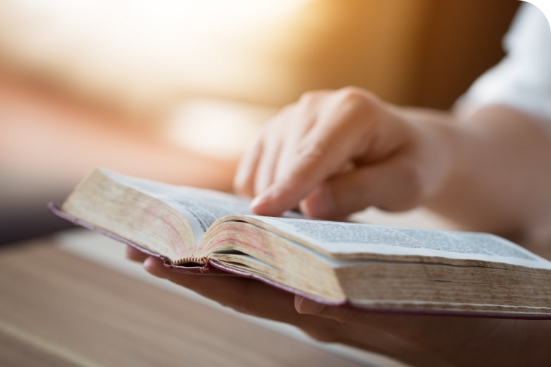 Ragazza legge un libro grazie al servizio di prestito locale della biblioteca della Chiesa Valdese di Firenze